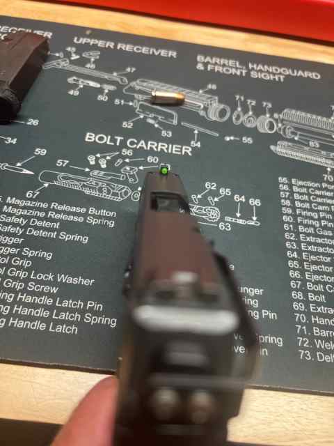 Sig 7.jpeg