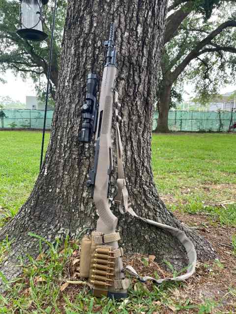 Springfield M1A Scout 