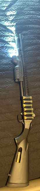 IMG_4237.jpeg