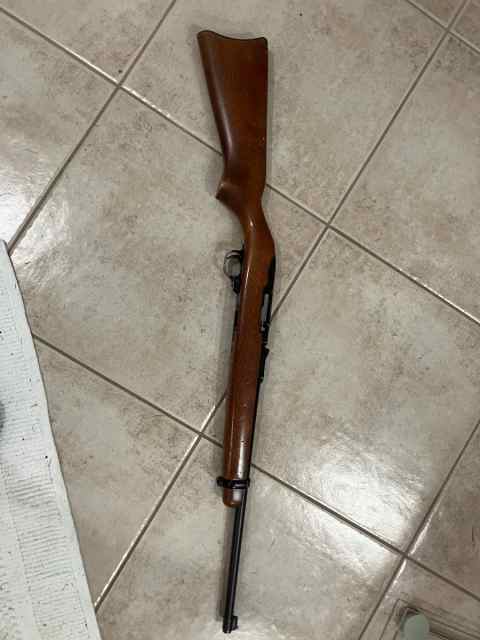 Ruger 10/22
