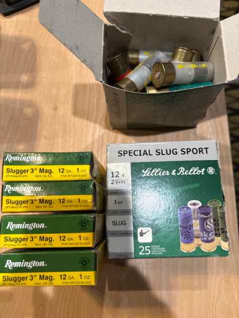 12 GA slugs