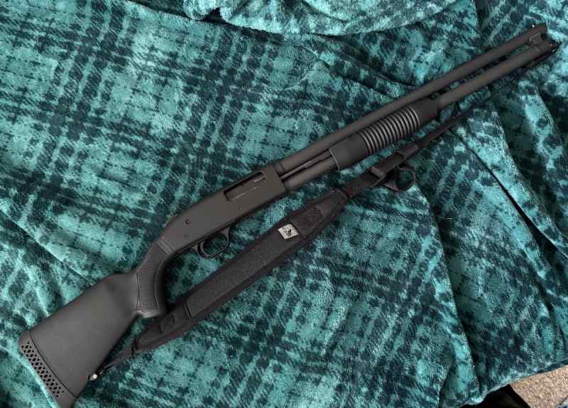 Mossberg 20ga home defense 
