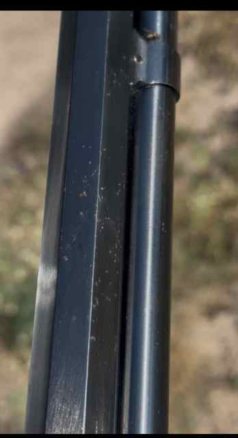 IMG_4869.jpeg
