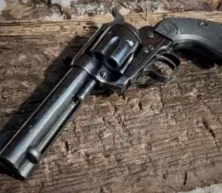 Taurus Deputy 45 Long Colt 