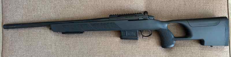IMG_3310.jpeg