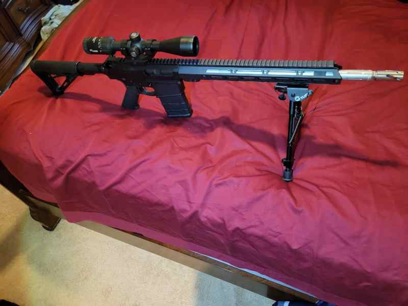 gun.jpg