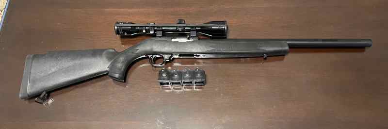 Ruger 10/22