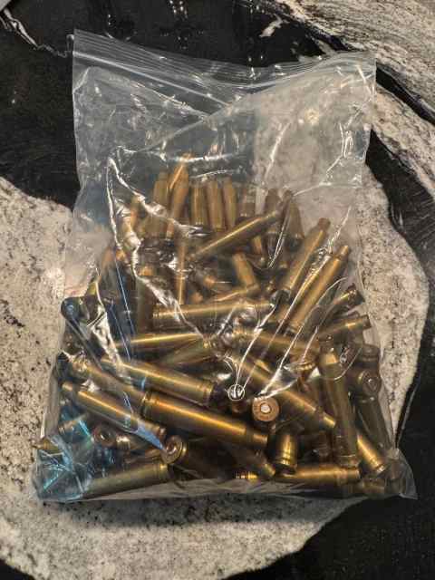 Primed 7mm RM Brass