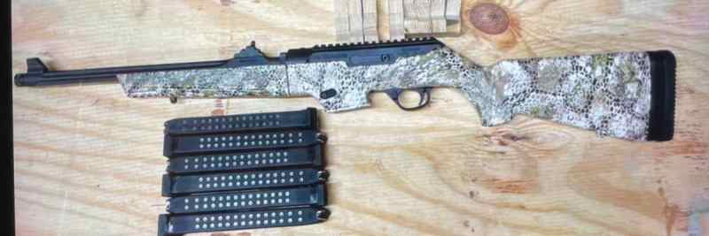 Ruger PCC9 takedown