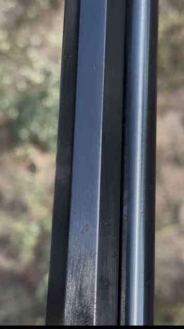 IMG_4868.jpeg